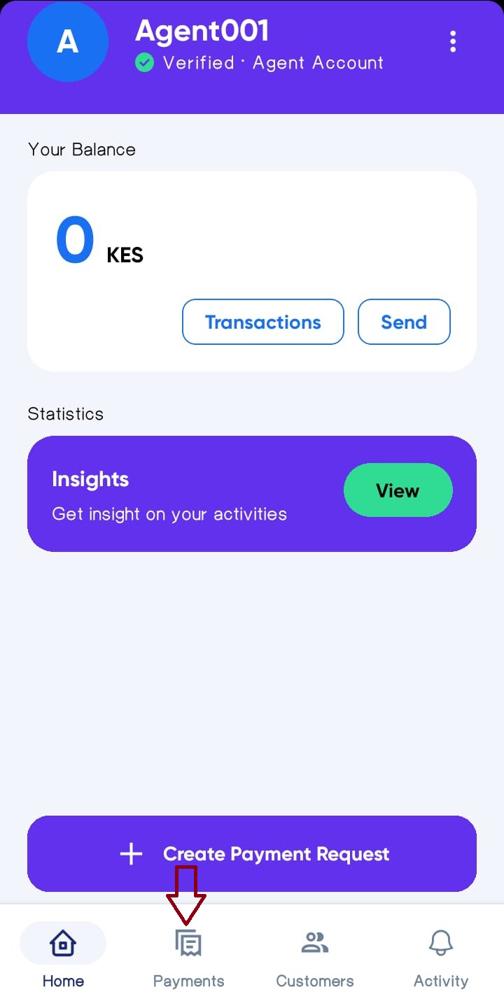 Agent Home Payments Tab