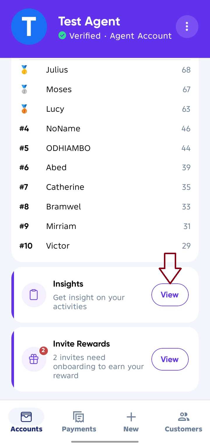 Agent Insight Screen 1