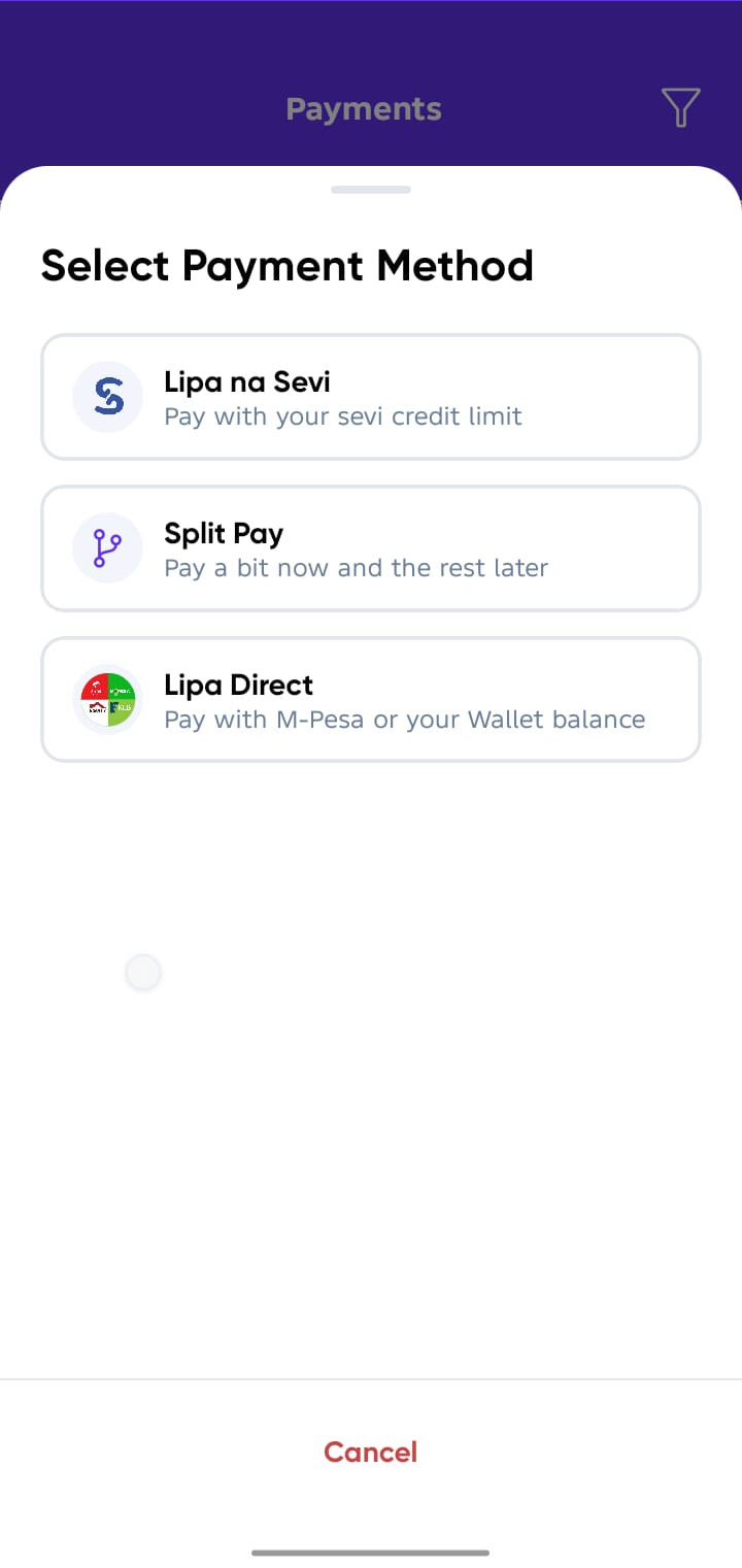 Confirm payment options screen