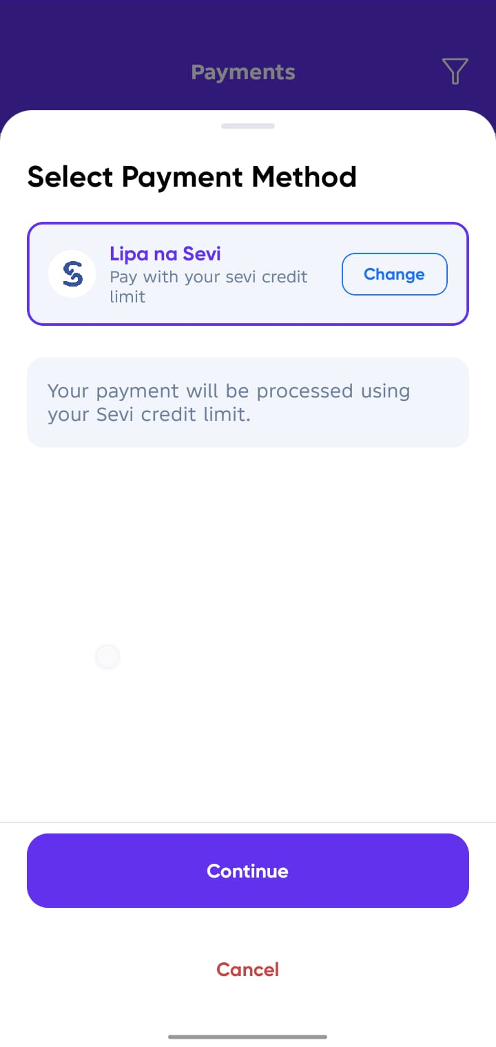 Full credit payment selected screen