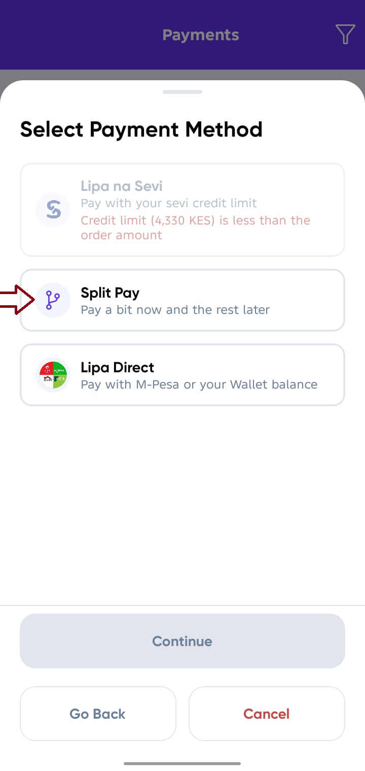 Confirm Payment Screen Payment Options