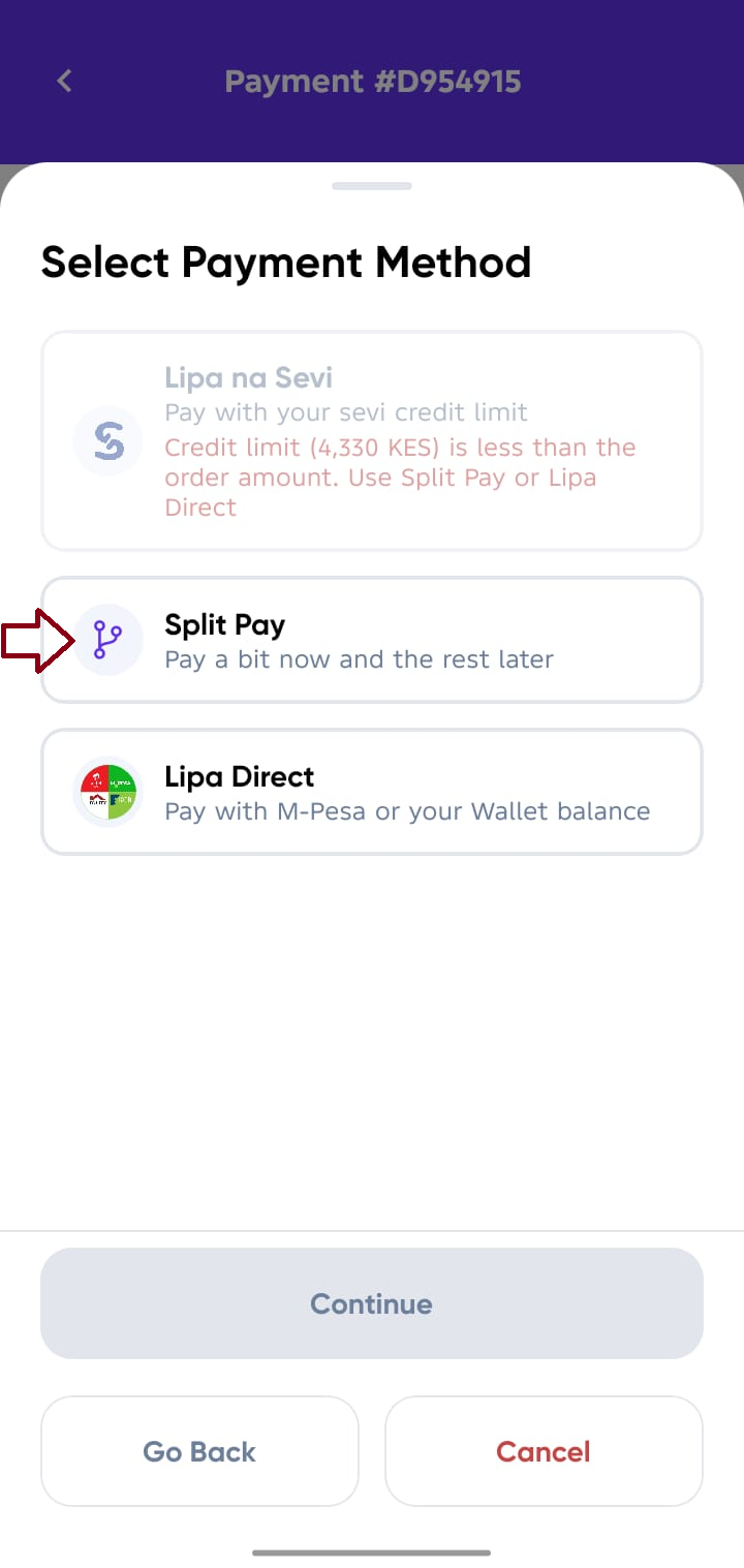 Confirm Payment Screen Payment Options