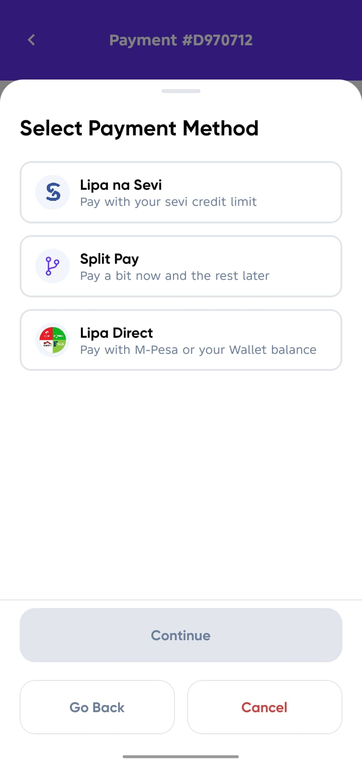 Confirm Payment Screen Payment Options