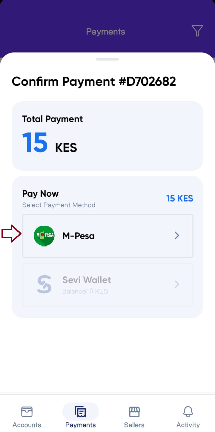 Confirm Payment Screen Pay Now option 2